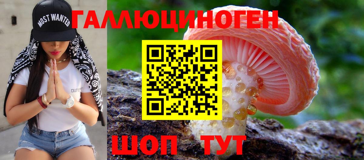 Галлюциногенные грибы мухоморы  Вход с VPN  Псилоцибиновые грибы GOLDEN TEACHER  Копейск 